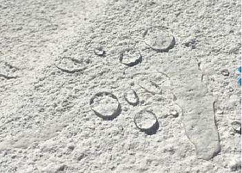 Argamassa termoacústica Argamassa termoacústica